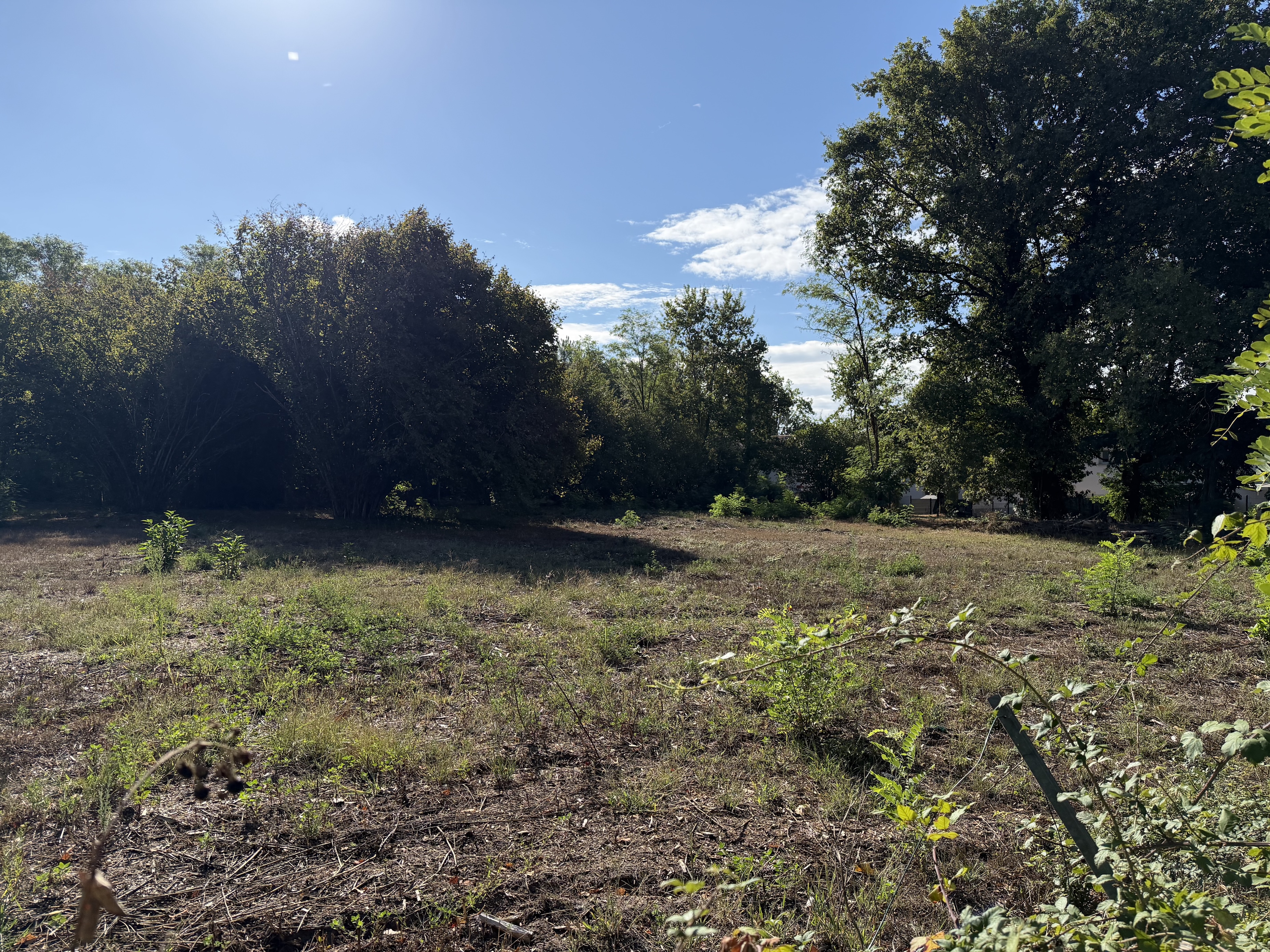 Terrain constructible à vendre à Belin-Béliet – 400 m² libres de constructeur