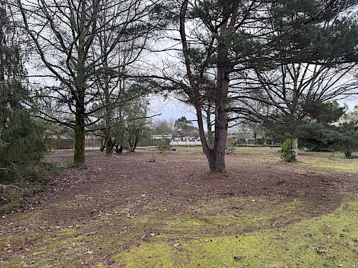 Terrain constructible à vendre au Porge – 1 050 m² arborés, libre de constructeur et proche de l’océan
