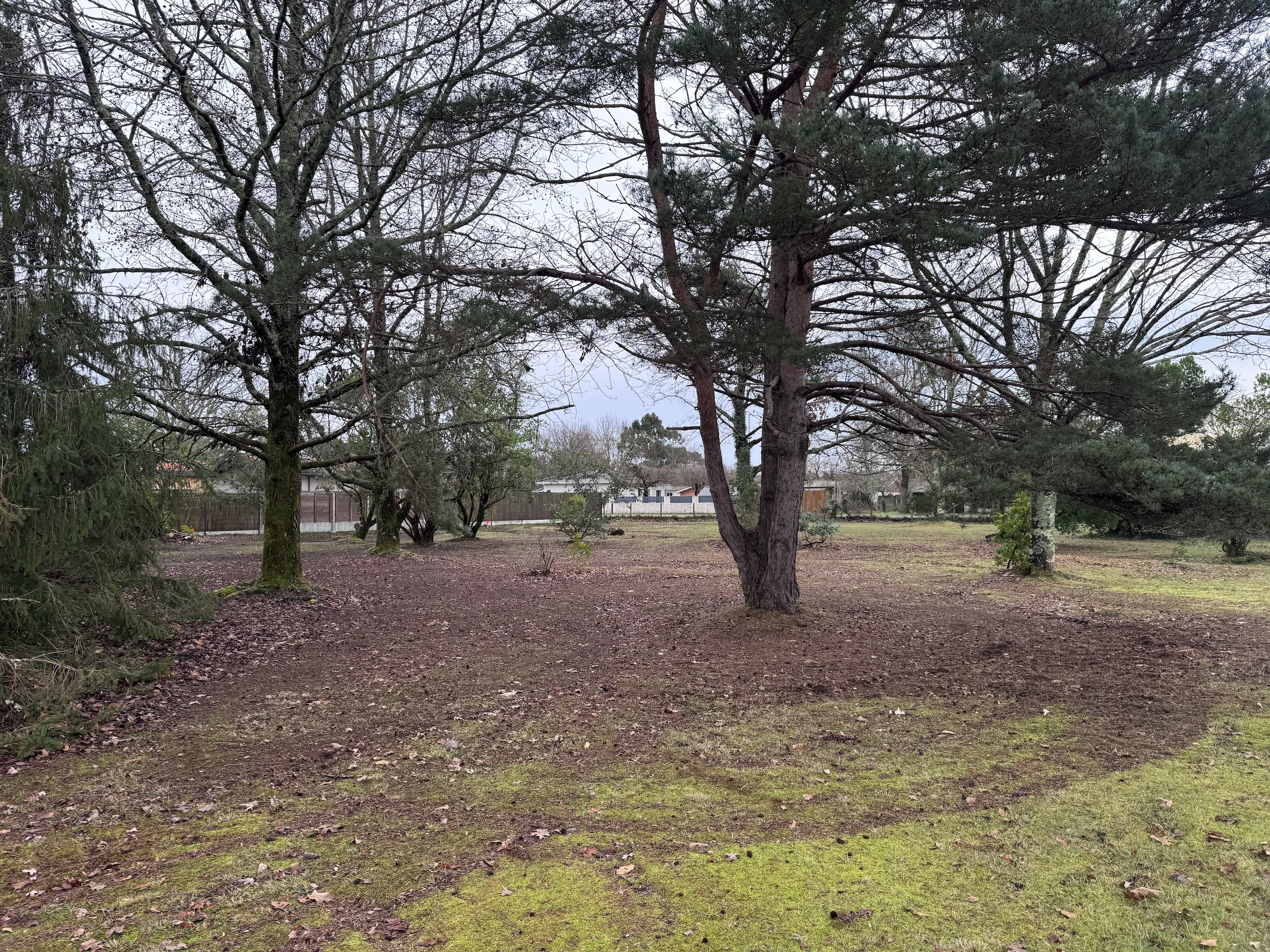 Terrain constructible à vendre au Porge – 1 050 m² arborés, libre de constructeur et proche de l’océan