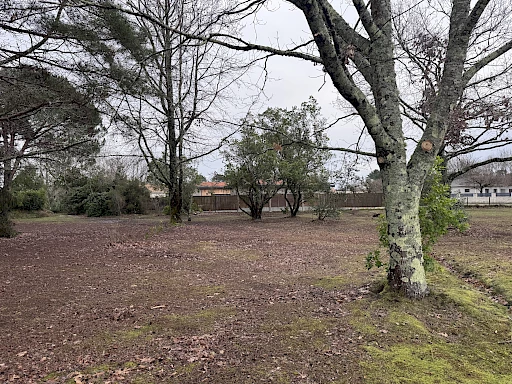 Terrain constructible à vendre au Porge – 1 050 m² arborés, libre de constructeur et proche de l’océan