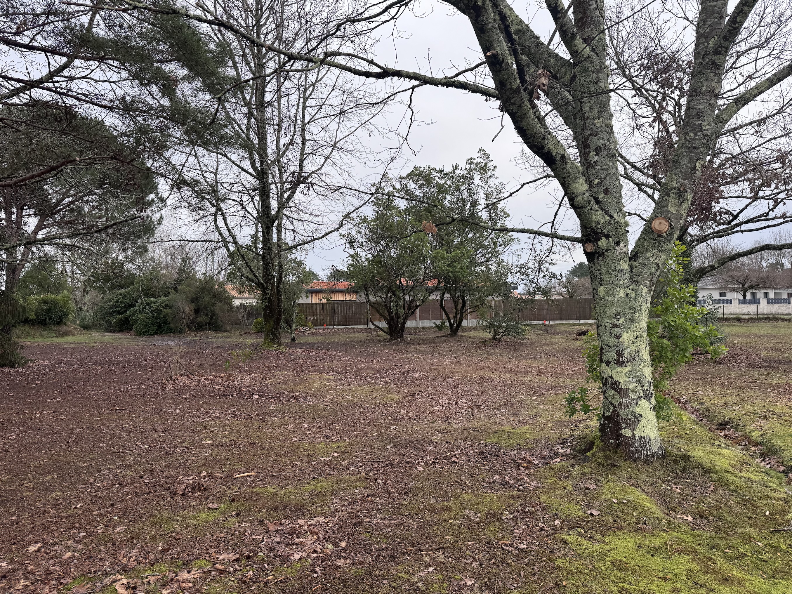 Terrain constructible à vendre au Porge – 1 050 m² arborés, libre de constructeur et proche de l’océan