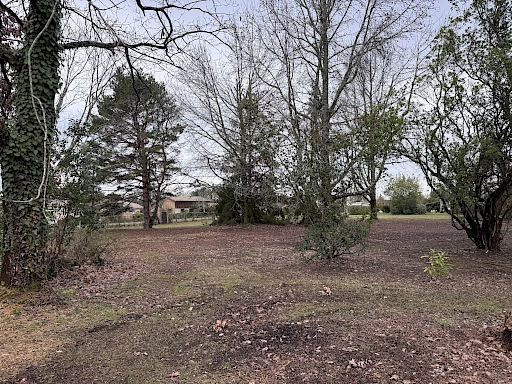 Terrain constructible à vendre au Porge – 1 050 m² arborés, libre de constructeur et proche de l’océan