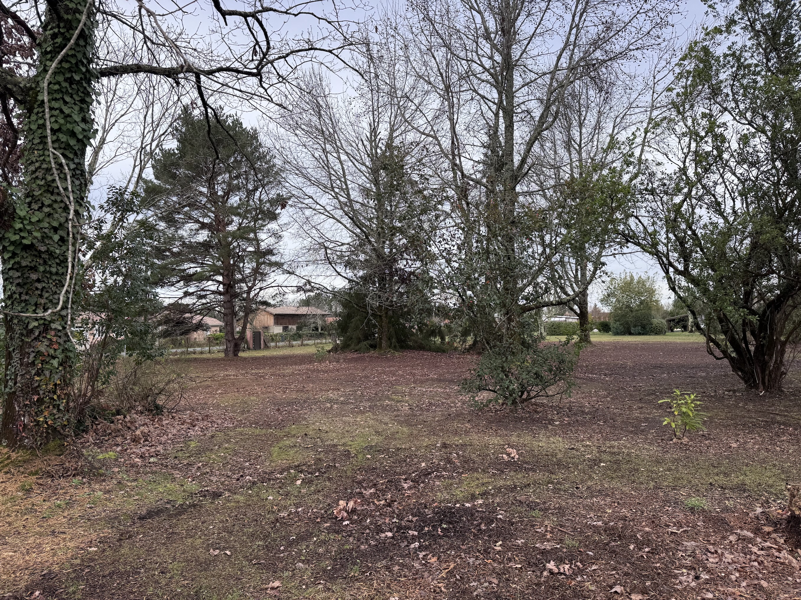 Terrain constructible à vendre au Porge – 1 050 m² arborés, libre de constructeur et proche de l’océan